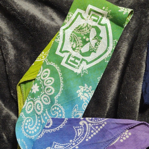 Multi color Riding Bandana with Harley shield and Willie G Skull. - Picture 2 of 3